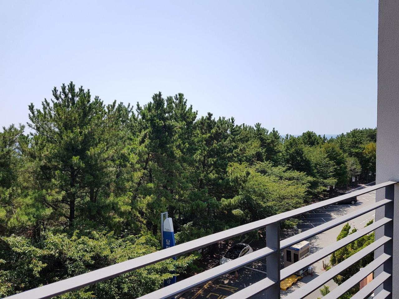 Suntree 釜山